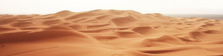 mer-de-sable-desert-maroc.jpg
