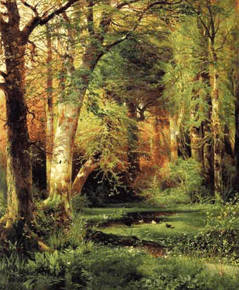 La Forêt